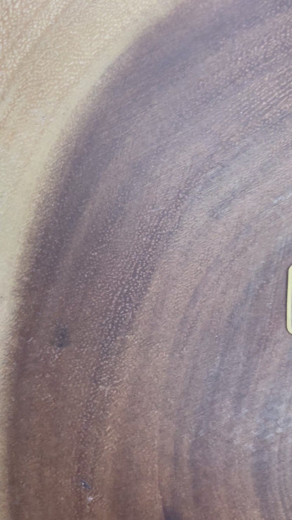 Moon Earrings - Abalone Earrings - Shell Earrings - Celestial Earrings